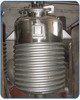 Limpet Coil Reaction Vessel 